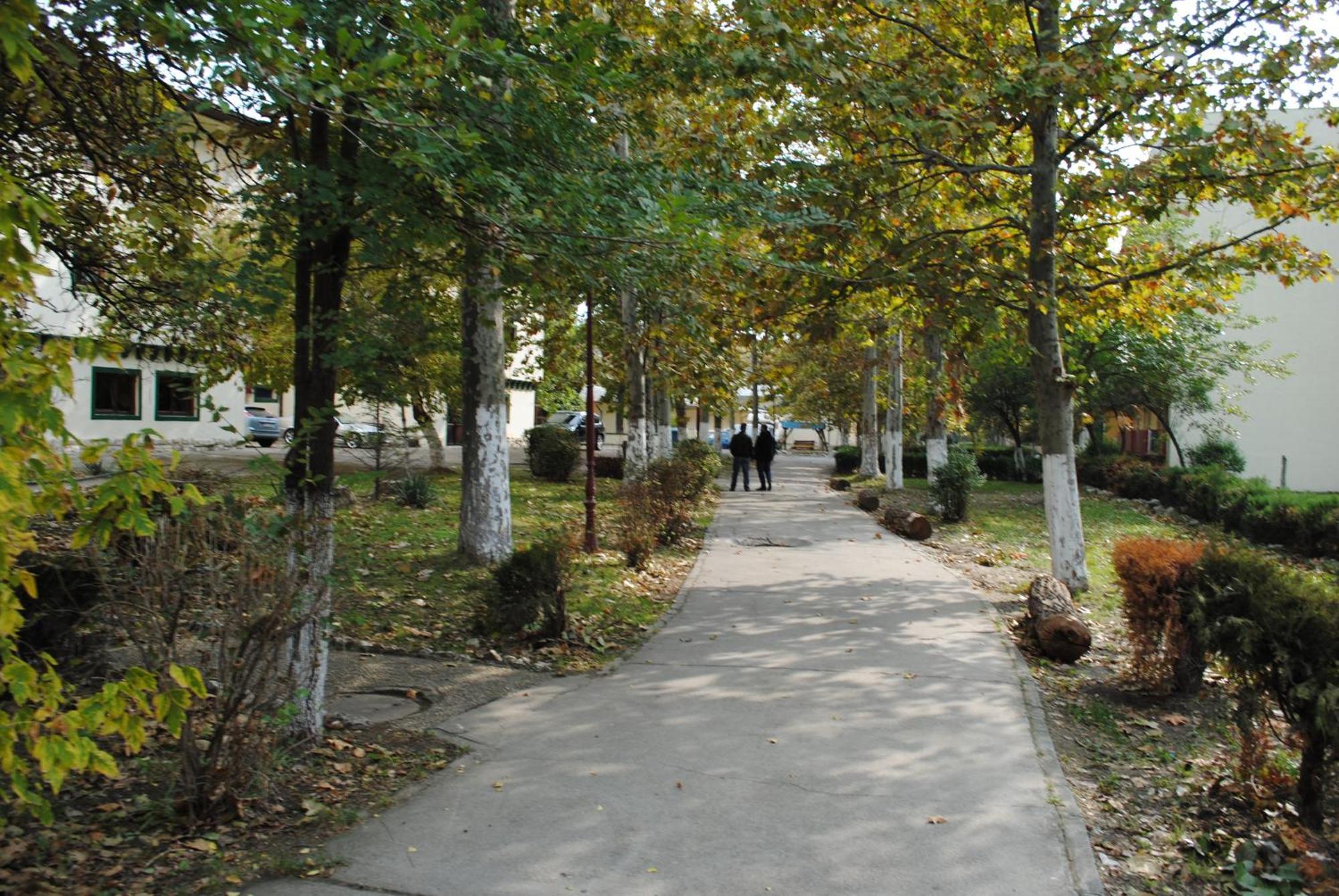 Complex Mediteranean Mamaia Bagian luar foto